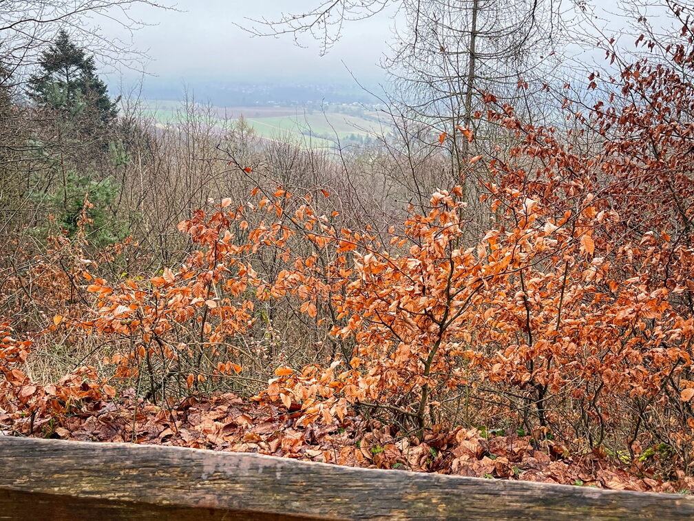 23-03-12 11-59-07 4780